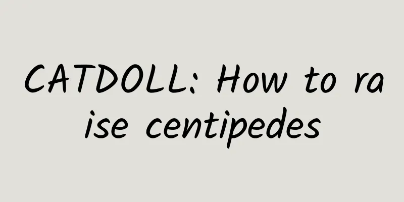 CATDOLL: How to raise centipedes