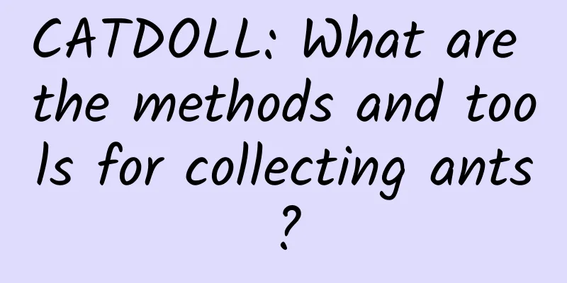 CATDOLL: What are the methods and tools for collecting ants?