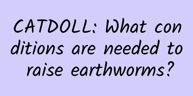 CATDOLL: What conditions are needed to raise earthworms?