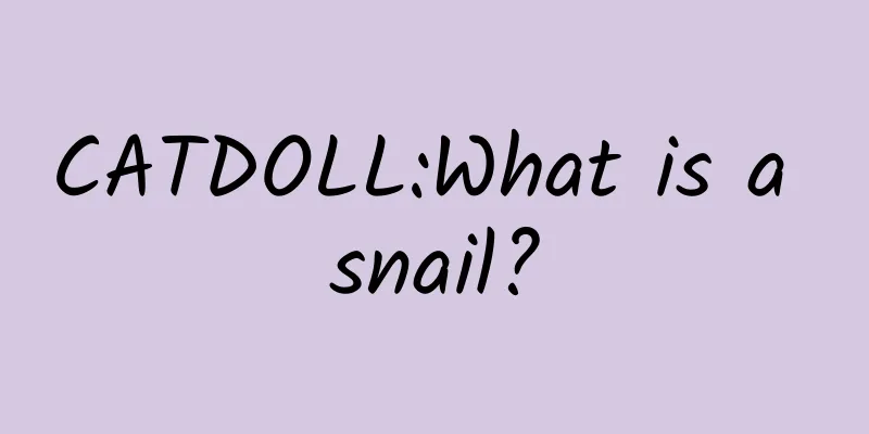 CATDOLL:What is a snail?