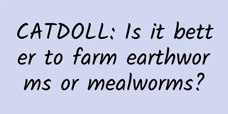 CATDOLL: Is it better to farm earthworms or mealworms?