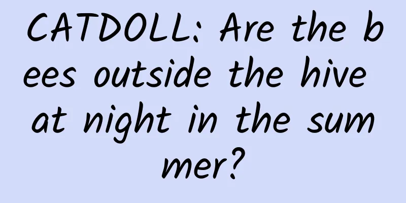 CATDOLL: Are the bees outside the hive at night in the summer?