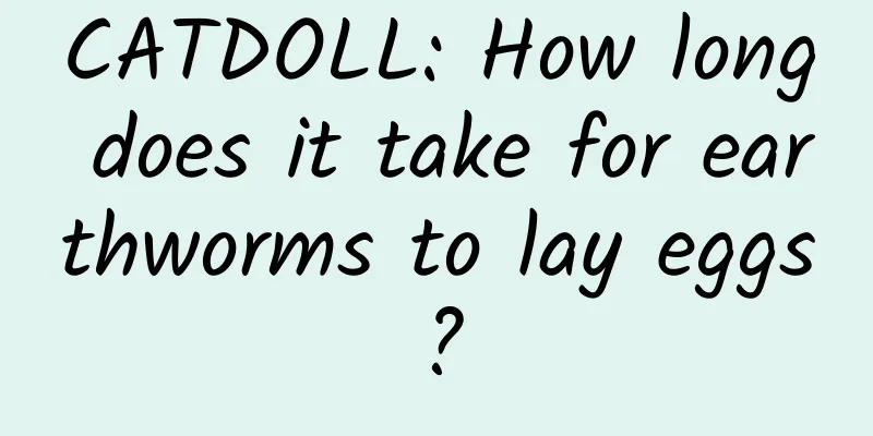 CATDOLL: How long does it take for earthworms to lay eggs?