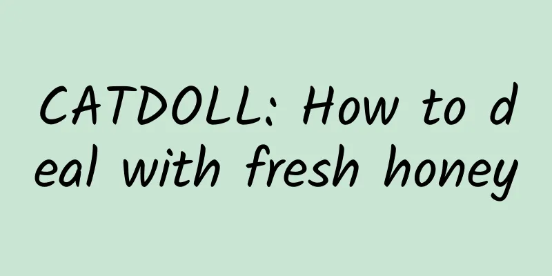 CATDOLL: How to deal with fresh honey