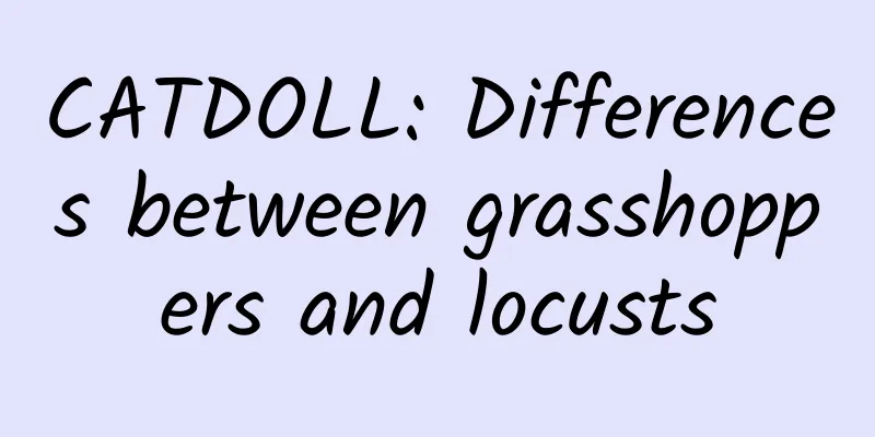 CATDOLL: Differences between grasshoppers and locusts