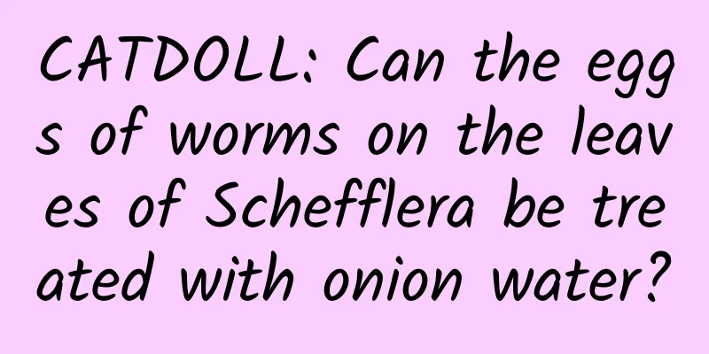 CATDOLL: Can the eggs of worms on the leaves of Schefflera be treated with onion water?