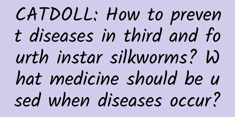CATDOLL: How to prevent diseases in third and fourth instar silkworms? What medicine should be used when diseases occur?