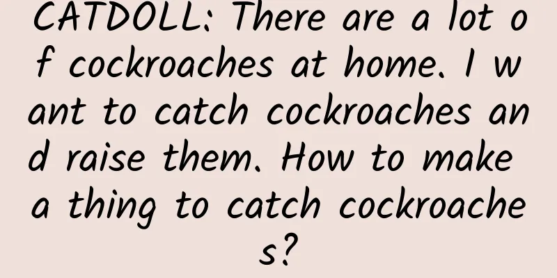 CATDOLL: There are a lot of cockroaches at home. I want to catch cockroaches and raise them. How to make a thing to catch cockroaches?