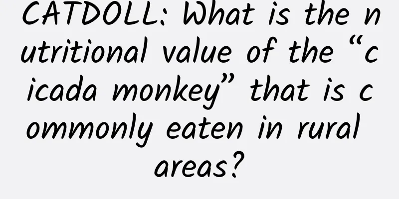 CATDOLL: What is the nutritional value of the “cicada monkey” that is commonly eaten in rural areas?