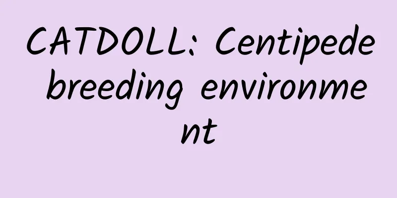 CATDOLL: Centipede breeding environment