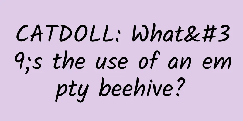 CATDOLL: What's the use of an empty beehive?