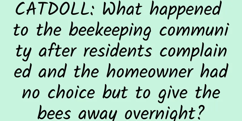 CATDOLL: What happened to the beekeeping community after residents complained and the homeowner had no choice but to give the bees away overnight?