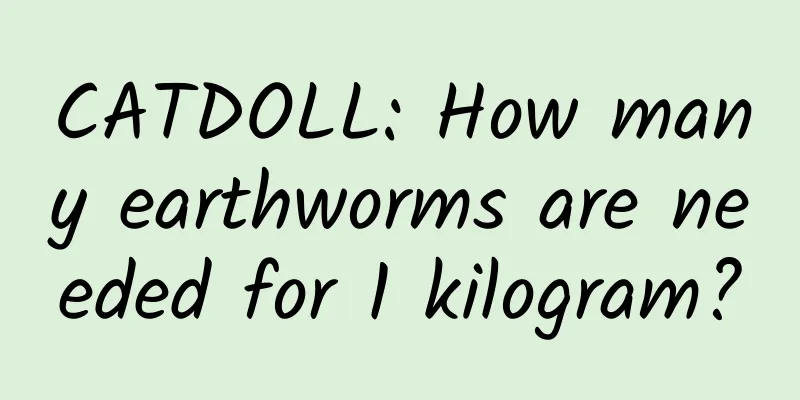 CATDOLL: How many earthworms are needed for 1 kilogram?