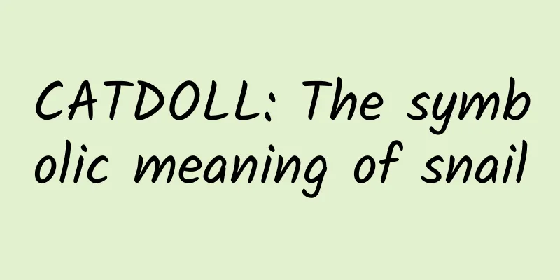 CATDOLL: The symbolic meaning of snail