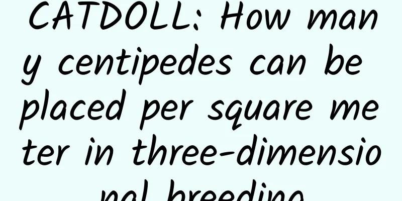 CATDOLL: How many centipedes can be placed per square meter in three-dimensional breeding