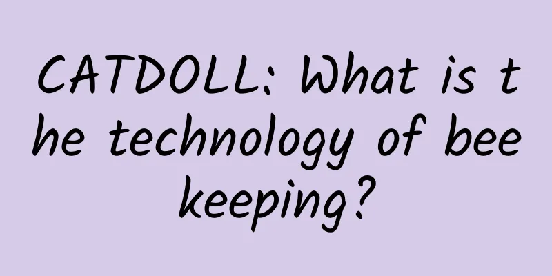 CATDOLL: What is the technology of beekeeping?