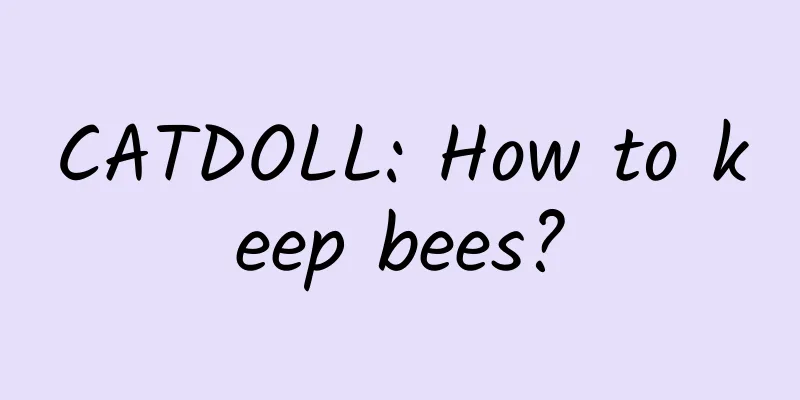 CATDOLL: How to keep bees?