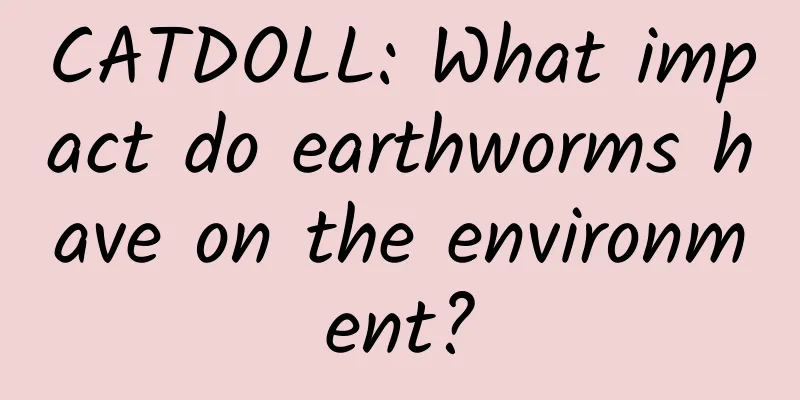 CATDOLL: What impact do earthworms have on the environment?