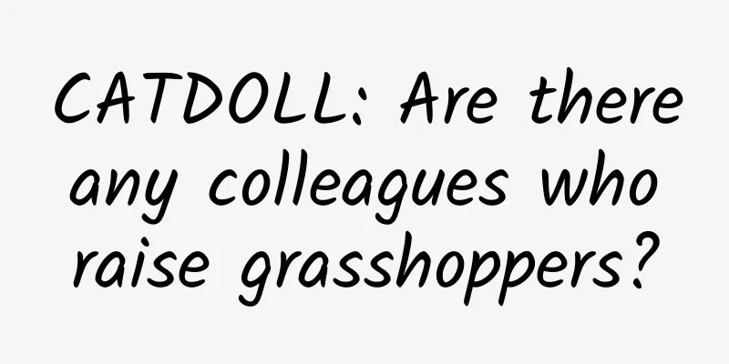 CATDOLL: Are there any colleagues who raise grasshoppers?