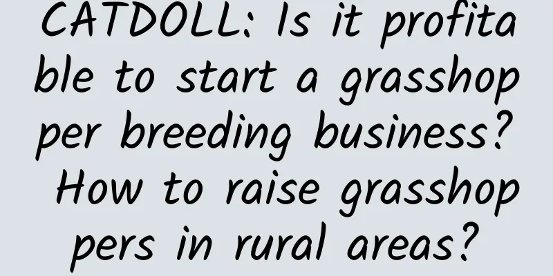 CATDOLL: Is it profitable to start a grasshopper breeding business? How to raise grasshoppers in rural areas?