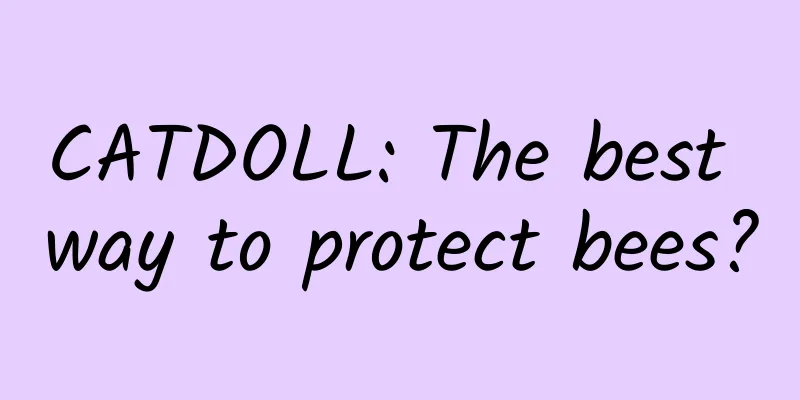 CATDOLL: The best way to protect bees?
