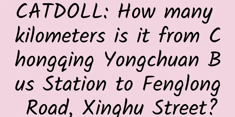 CATDOLL: How many kilometers is it from Chongqing Yongchuan Bus Station to Fenglong Road, Xinghu Street?