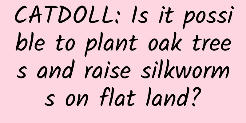 CATDOLL: Is it possible to plant oak trees and raise silkworms on flat land?