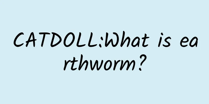 CATDOLL:What is earthworm?