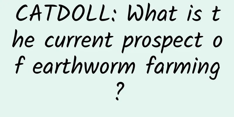 CATDOLL: What is the current prospect of earthworm farming?