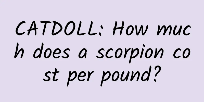 CATDOLL: How much does a scorpion cost per pound?