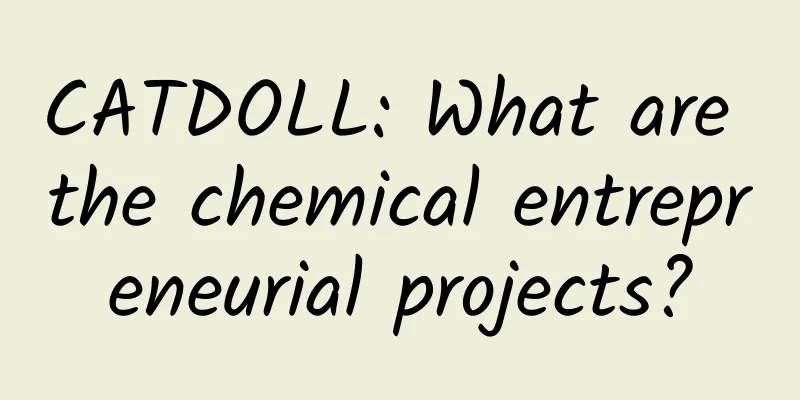 CATDOLL: What are the chemical entrepreneurial projects?