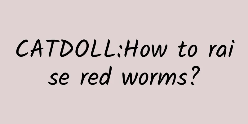 CATDOLL:How to raise red worms?