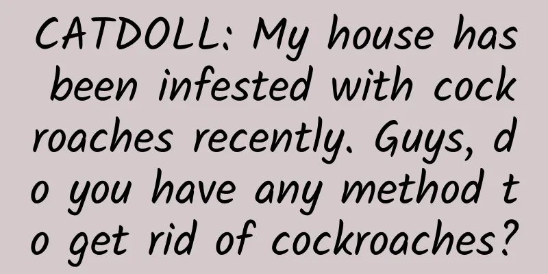 CATDOLL: My house has been infested with cockroaches recently. Guys, do you have any method to get rid of cockroaches?