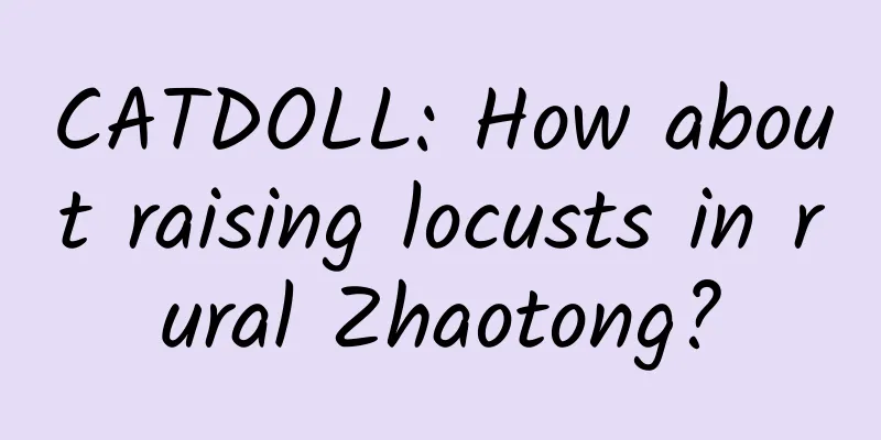 CATDOLL: How about raising locusts in rural Zhaotong?