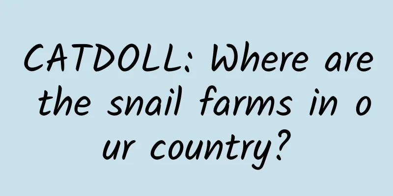 CATDOLL: Where are the snail farms in our country?