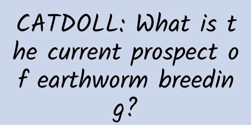 CATDOLL: What is the current prospect of earthworm breeding?