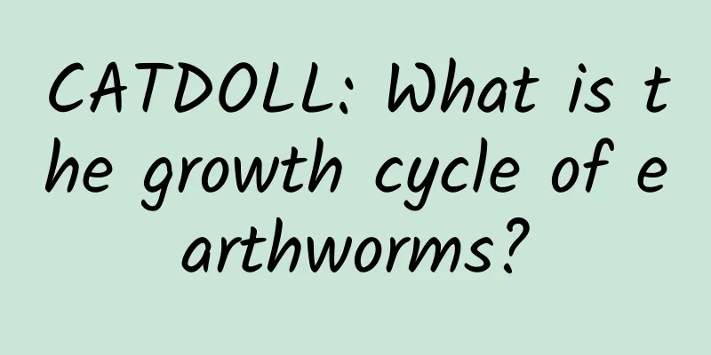 CATDOLL: What is the growth cycle of earthworms?