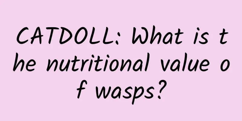 CATDOLL: What is the nutritional value of wasps?