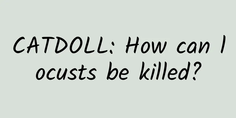 CATDOLL: How can locusts be killed?