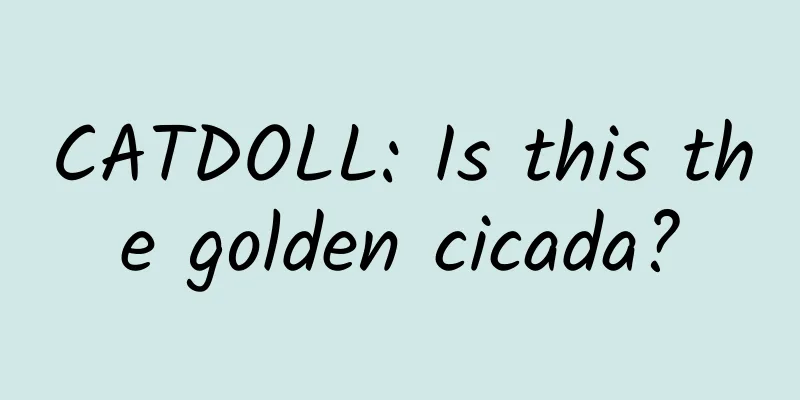 CATDOLL: Is this the golden cicada?