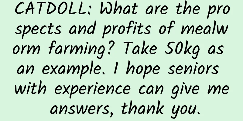 CATDOLL: What are the prospects and profits of mealworm farming? Take 50kg as an example. I hope seniors with experience can give me answers, thank you.