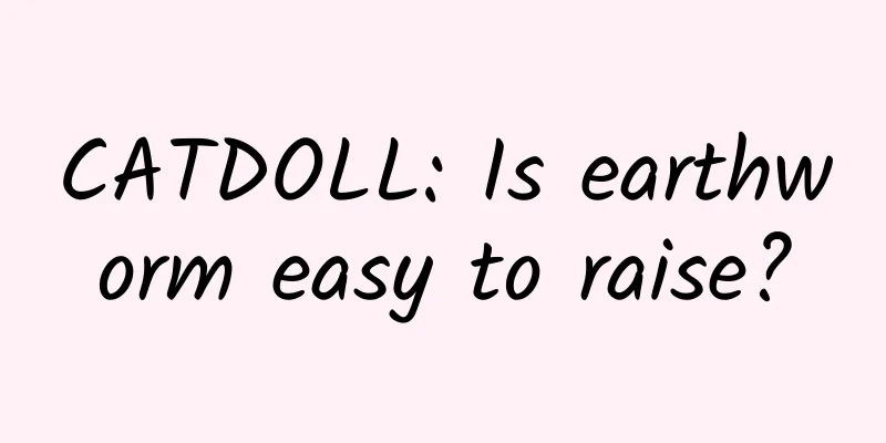 CATDOLL: Is earthworm easy to raise?