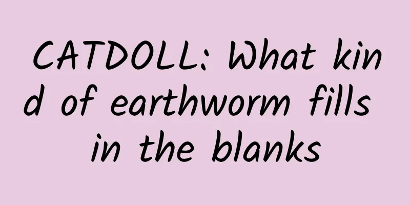CATDOLL: What kind of earthworm fills in the blanks