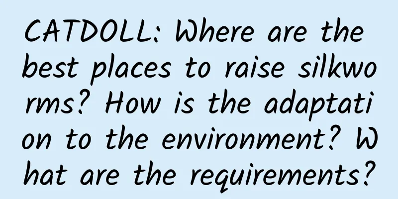 CATDOLL: Where are the best places to raise silkworms? How is the adaptation to the environment? What are the requirements?