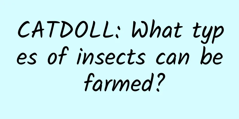 CATDOLL: What types of insects can be farmed?