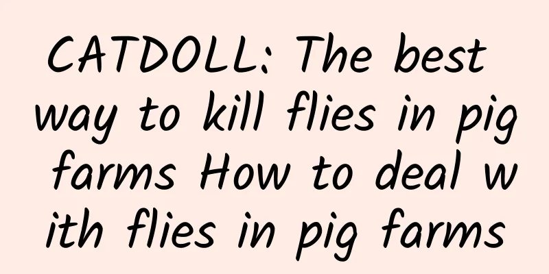 CATDOLL: The best way to kill flies in pig farms How to deal with flies in pig farms