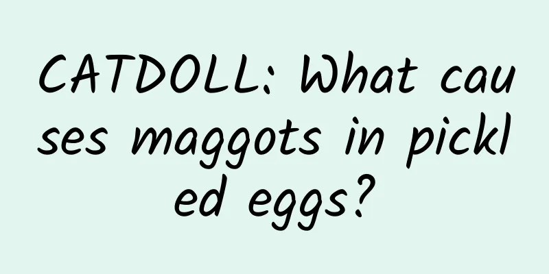 CATDOLL: What causes maggots in pickled eggs?