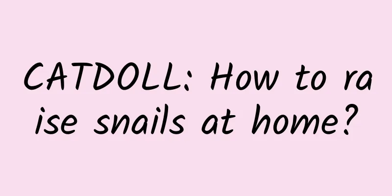 CATDOLL: How to raise snails at home?