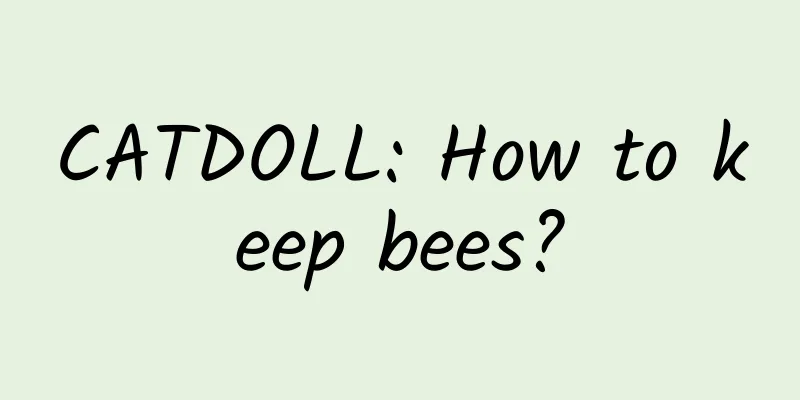 CATDOLL: How to keep bees?