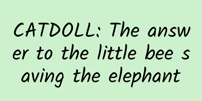 CATDOLL: The answer to the little bee saving the elephant